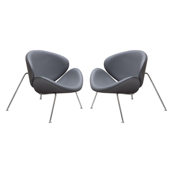 Set of (2) Roxy Accent Chair with Chrome Frame by Diamond Sofa - GREY image