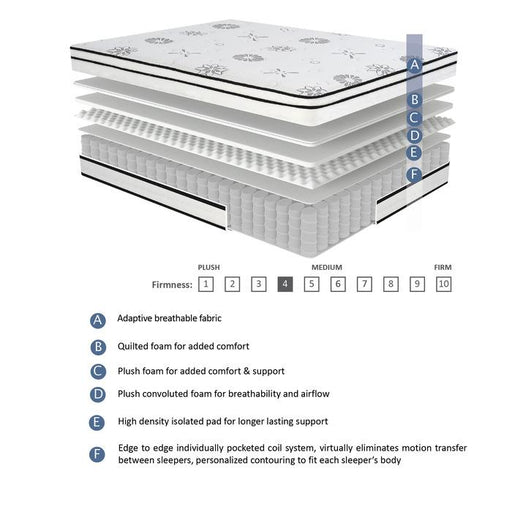 MT-PH12T - 12" Twin Hybrid Mattress image