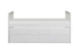 Galen-(2) Twin/Twin Trundle Bed image